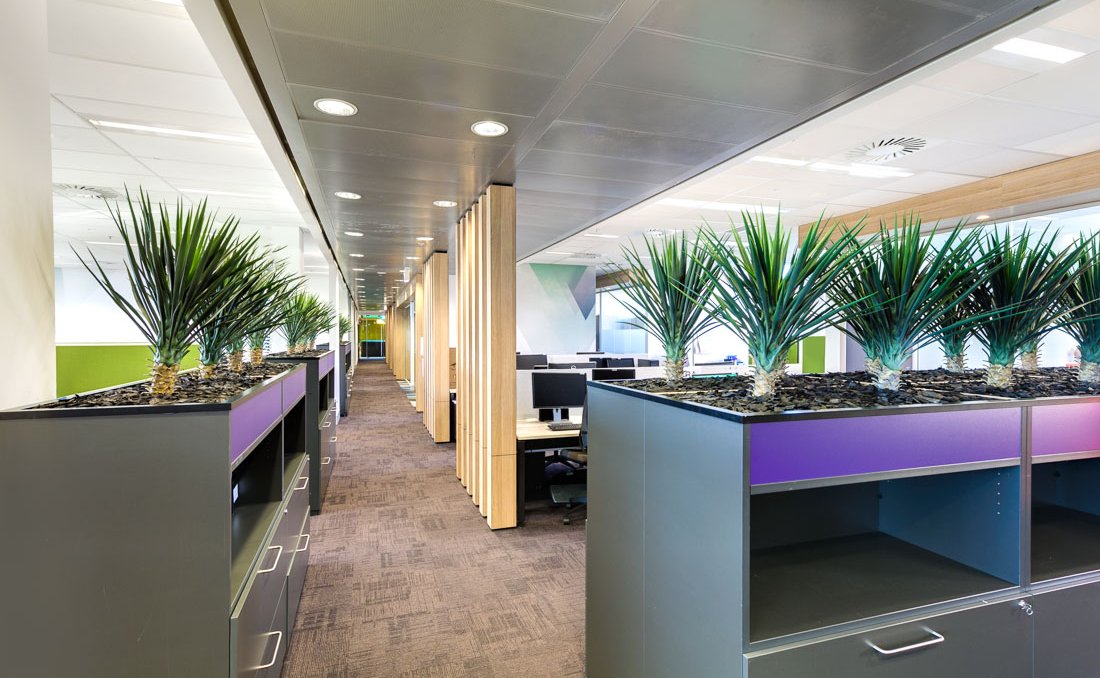 Medical office with biophilic design promoting wellness. Designed by Space for Health for a successful medical fitout project